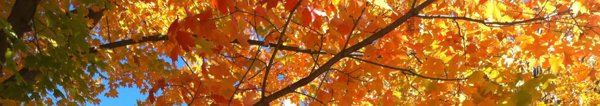 Herbst Männer 2025