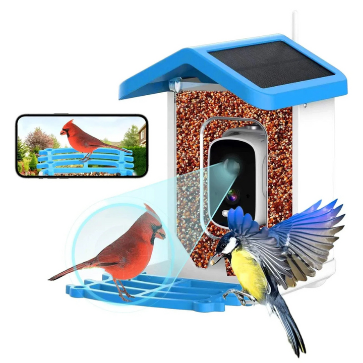 Intelligente Vogelfutterstation BirdieYou | 5MP Full HD Kamera mit Nachtsicht & Solarpanel