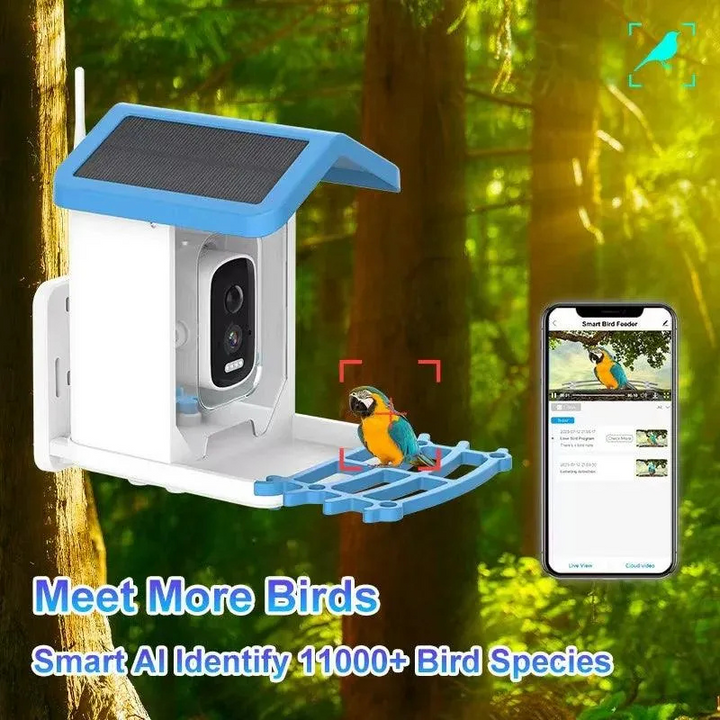 Intelligente Vogelfutterstation BirdieYou | 5MP Full HD Kamera mit Nachtsicht & Solarpanel