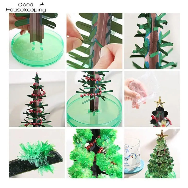 Magischer wachsender Weihnachtsbaum (14cm) - DIY Spielzeug, lustiges Geschenk für Erwachsene und Kinder