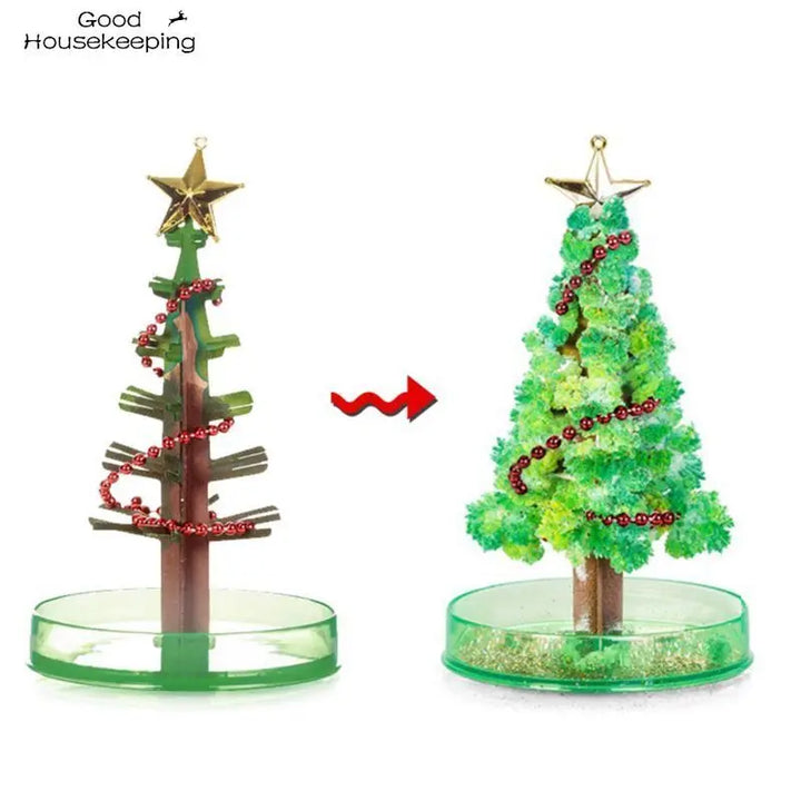 Magischer wachsender Weihnachtsbaum (14cm) - DIY Spielzeug, lustiges Geschenk für Erwachsene und Kinder