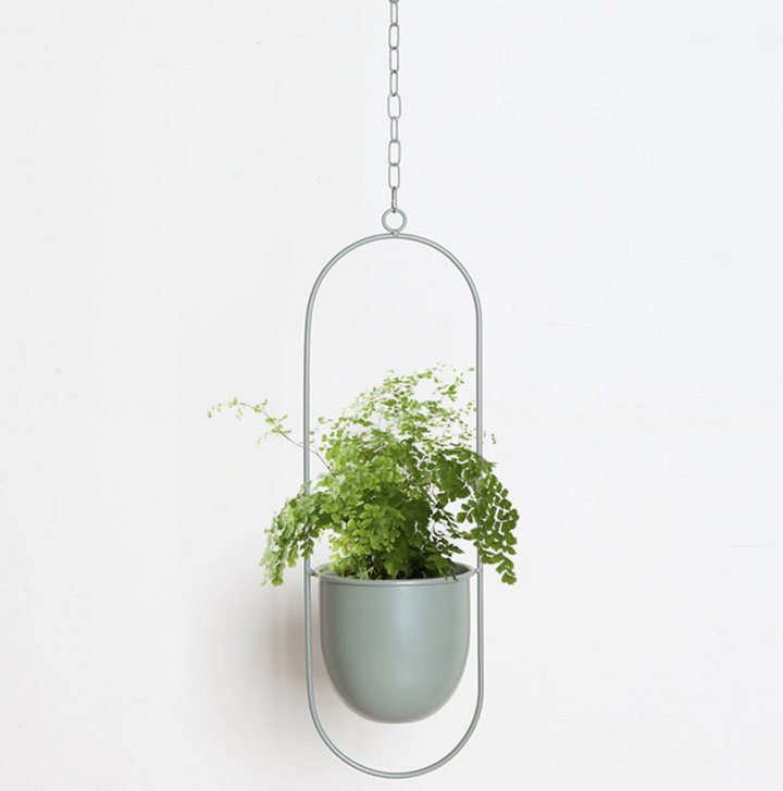 FloraFrame | Lámpara colgante minimalista moderna para plantas de pared