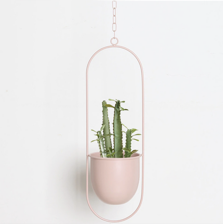 FloraFrame | Lámpara colgante minimalista moderna para plantas de pared