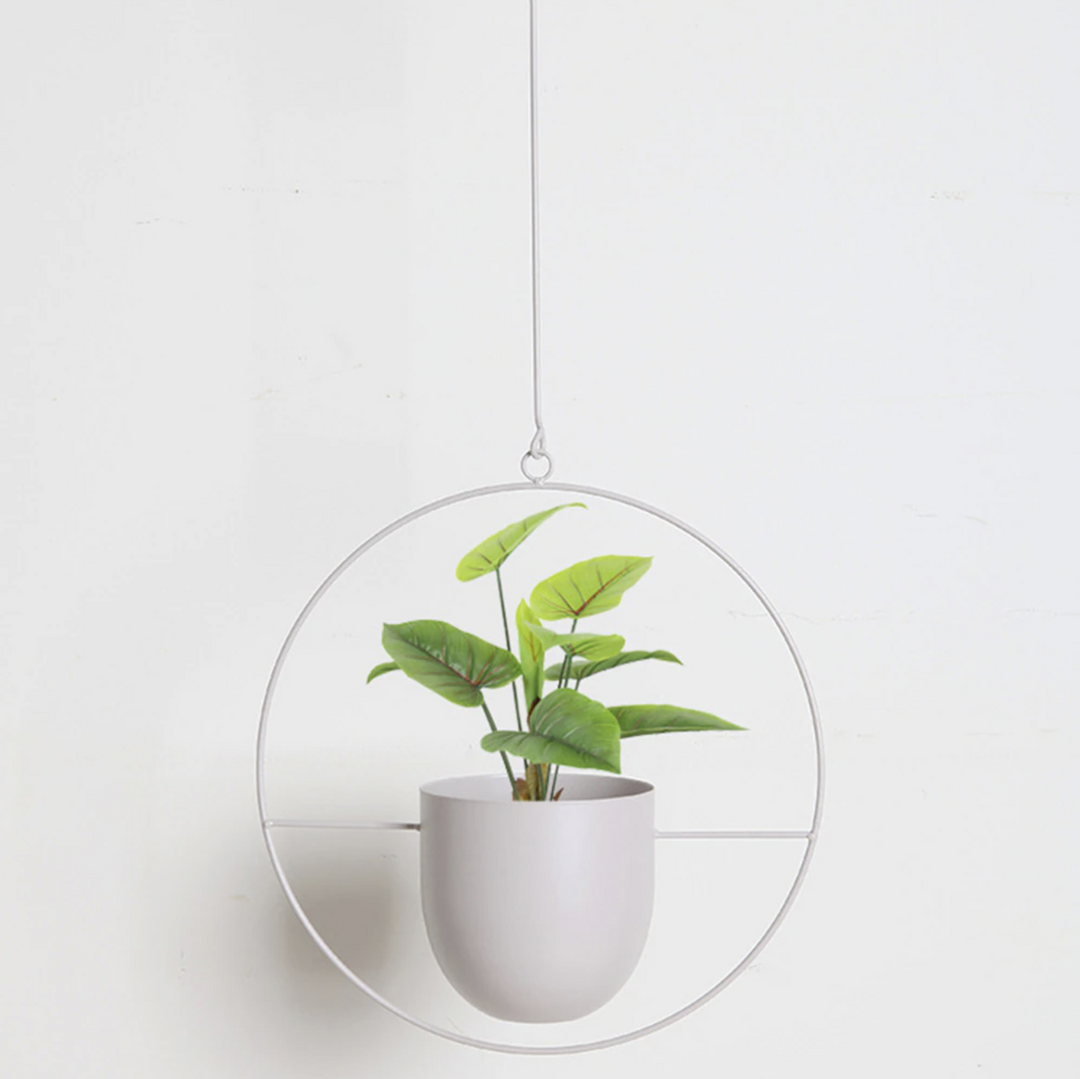 FloraFrame | Lámpara colgante minimalista moderna para plantas de pared