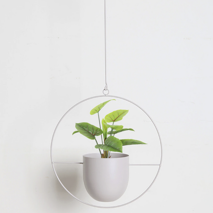 FloraFrame | Lámpara colgante minimalista moderna para plantas de pared