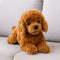 Plüsch Teddy Dog Realistisch & Weich | Kuschelspielzeug für Kinder & Geschenke