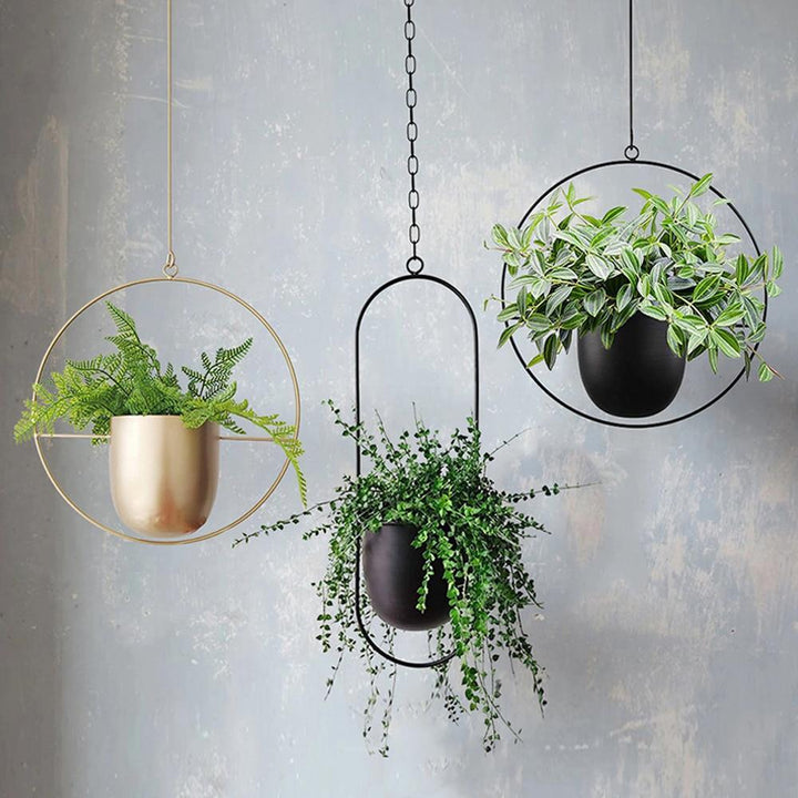 FloraFrame | Lámpara colgante minimalista moderna para plantas de pared