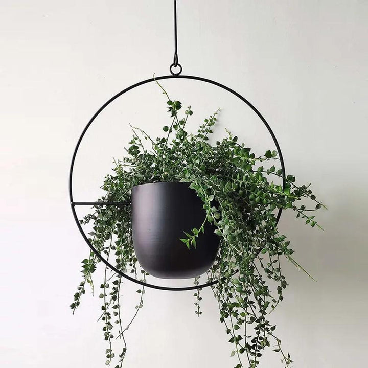 FloraFrame | Lámpara colgante minimalista moderna para plantas de pared